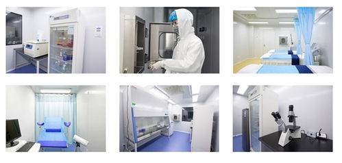 史迪姆科技 功能性干細(xì)胞衍生系列產(chǎn)品研發(fā)與制造新突破